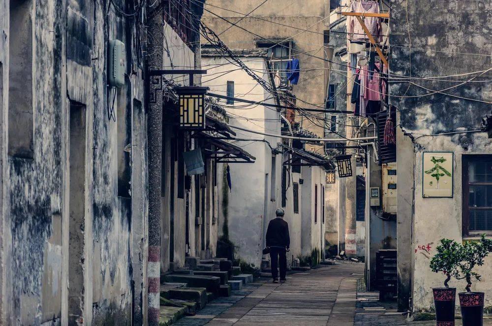【视频】南京白鹭洲公园：灯耀秦淮 喜迎新春